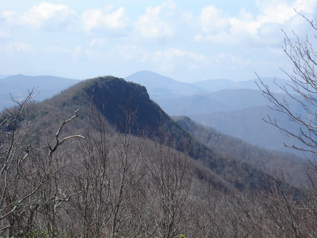 1,000 More Acres of Three Top Mountain Protected